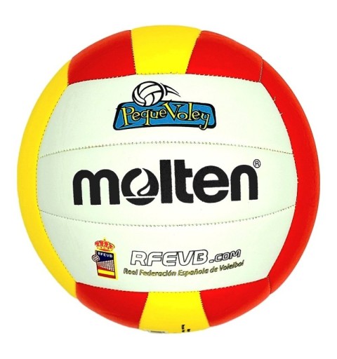 Balón de voleibol oficial