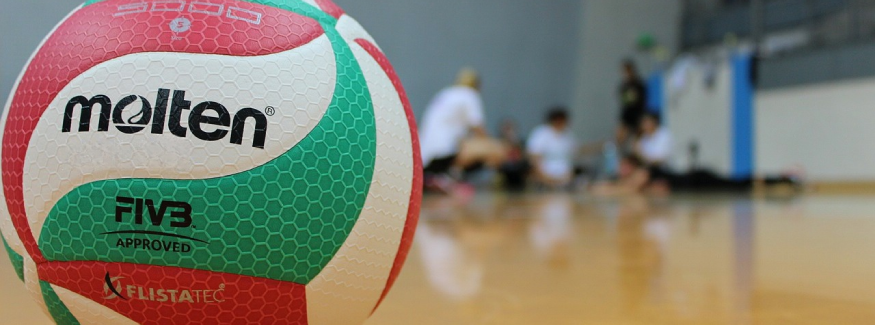 Balones Voleibol